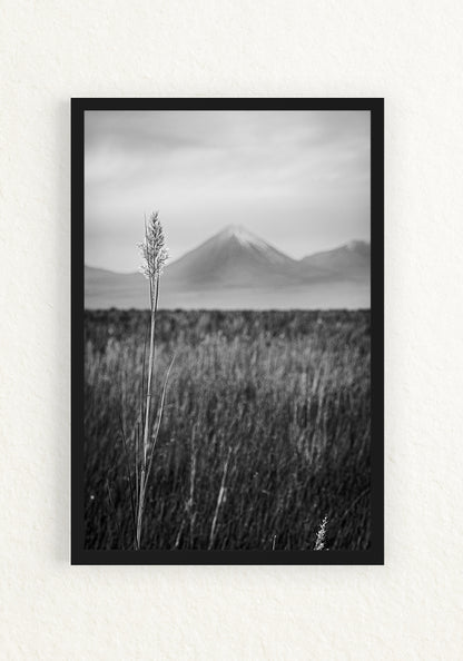 Paisaje Andino