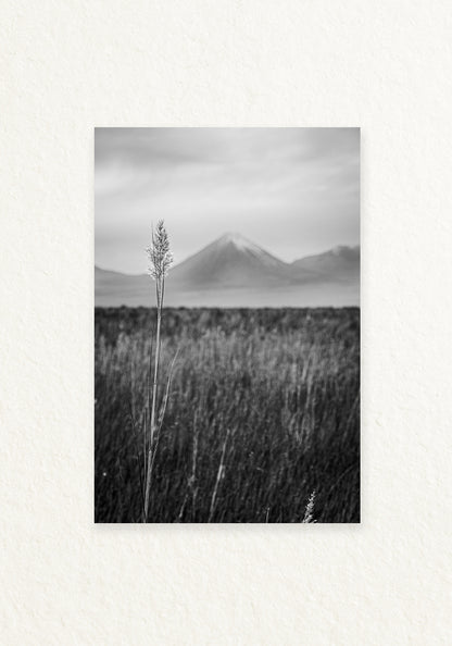 Paisaje Andino