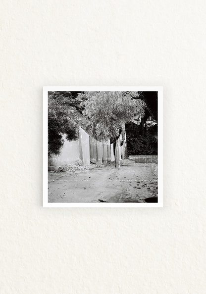 Zanzibar 120mm